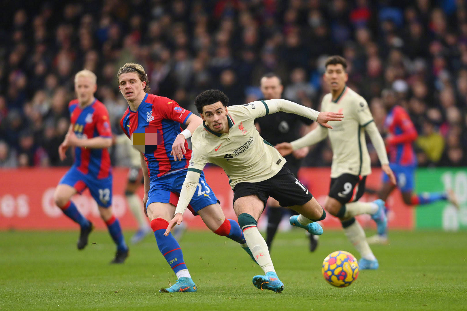 了男女各两 了男女各两